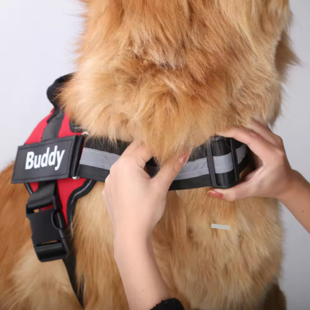 Gepersonaliseerd Hondentuigje - PawSafe - Trekvrij Ontwerp - Reflecterend en Verstelbaar