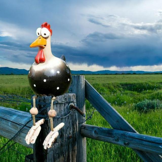 Kippen Tuinbeeld - CluckDecor - Grappig Ontwerp - Houten Paal Decoratie