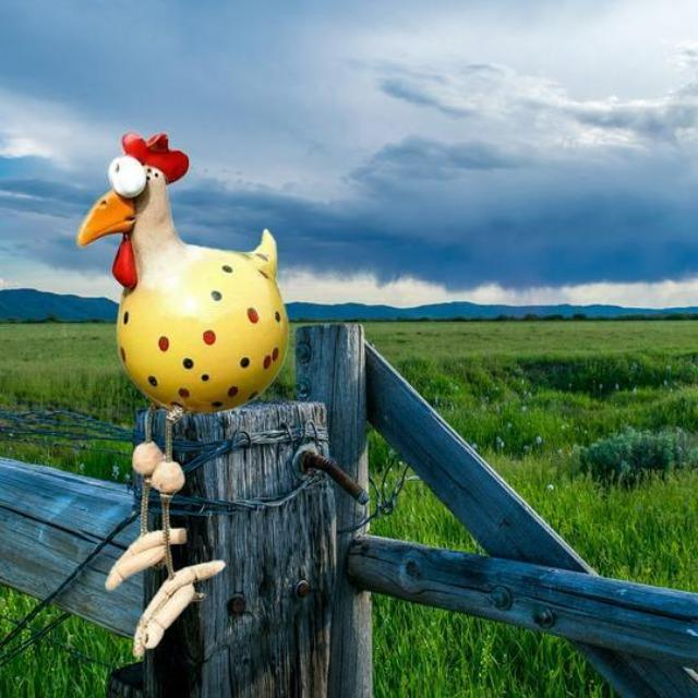 Kippen Tuinbeeld - CluckDecor - Grappig Ontwerp - Houten Paal Decoratie