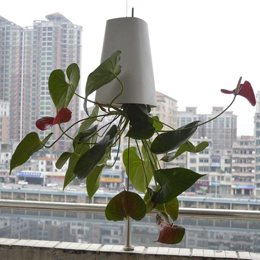 Bloempot - AeroPlant - Hangend Design - Moderne Plantenbak