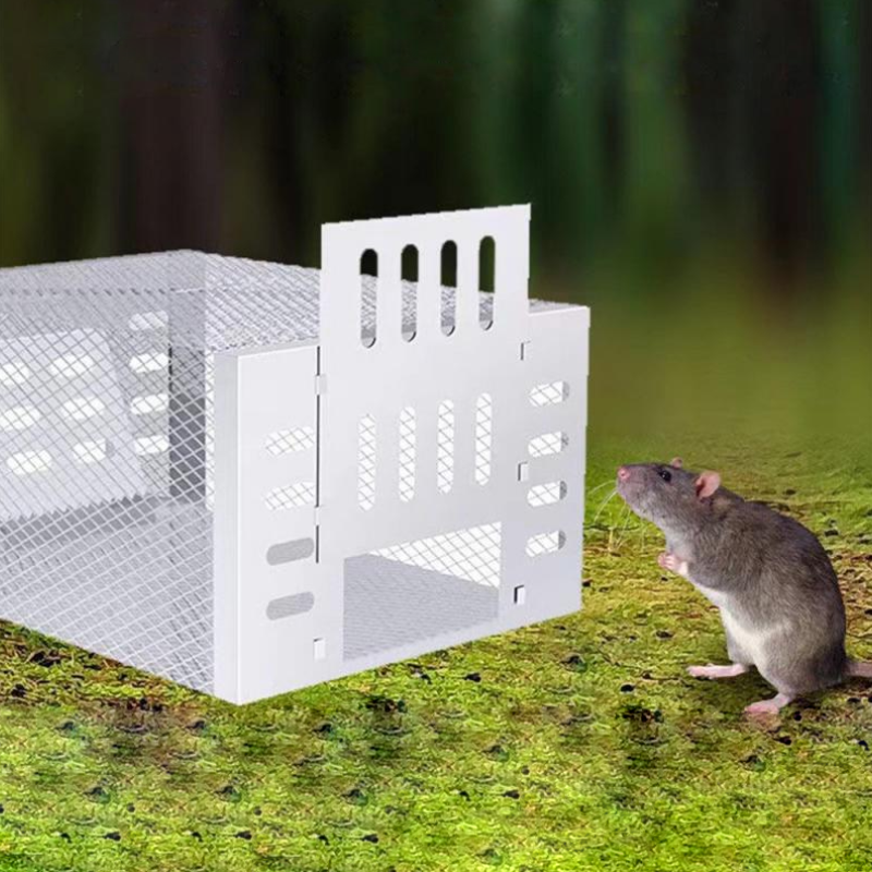 Muizenval - SafeCatch - Humane Ontwerp - Herbruikbaar voor Meerdere Muizen