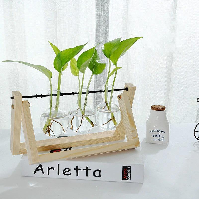Propagatievaas - GlassNest - Houten Stand - Decoratieve Plantenhouder