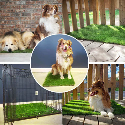 Honden Pootreiniger Beker - PawFresh - Zachte Reiniging - Draagbaar Ontwerp