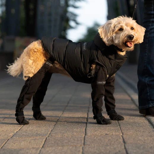 Hondenlaarzen - PawGuard - Bescherming voor alle weersomstandigheden - Duurzaam ontwerp
