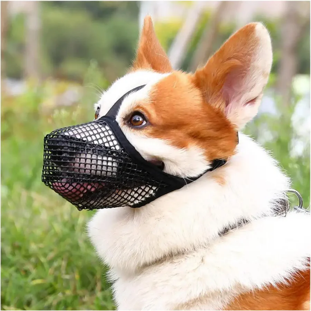 Anti-Schrok Hondenmuilkorf - SafeSnout - Comfortabele Pasvorm - Beschermend Ontwerp