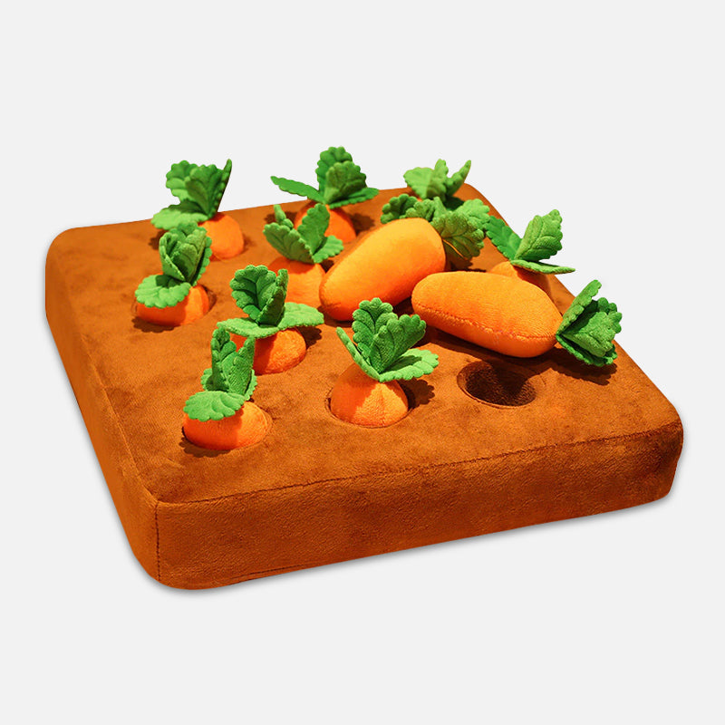 Knaagdier Speelgoed - CarrotNest - Interactief Spel - Bijtbestendig Ontwerp