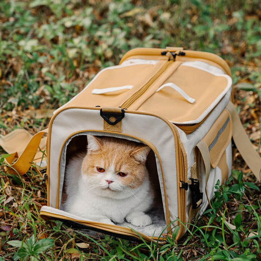 Dierendraagtasje - PawLuxe - Opvouwbaar Design - Ademend Comfort