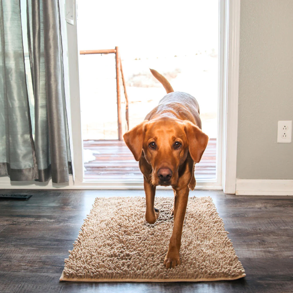 Honden Schoonloopmat - PawGuard - Super Absorberend - Vuilvangend