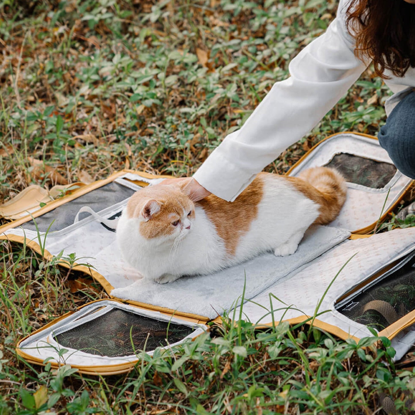 Dierendraagtasje - PawLuxe - Opvouwbaar Design - Ademend Comfort