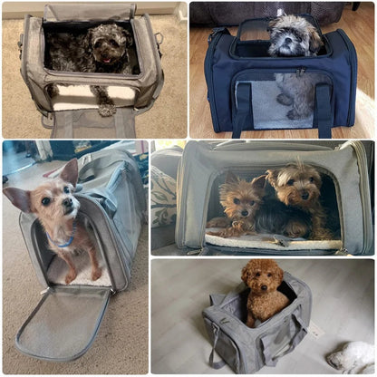 Huisdier Draagtas - PetGo - Reistas - Kleine Dieren Transport