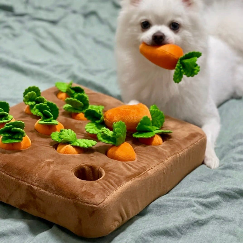 Knaagdier Speelgoed - CarrotNest - Interactief Spel - Bijtbestendig Ontwerp