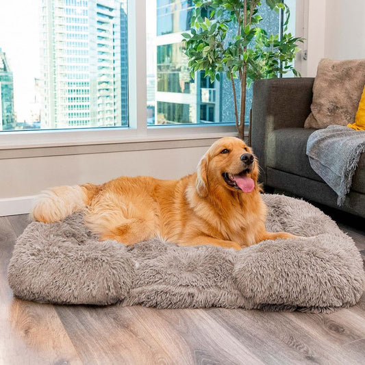 Orthopedisch Hondenbed - PawsNest - Kalmerende Ondersteuning - Ultiem Zacht Comfort
