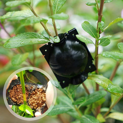 Wortelgroei Box - PlantEase - Cloning Kit - Herbruikbaar Plastic