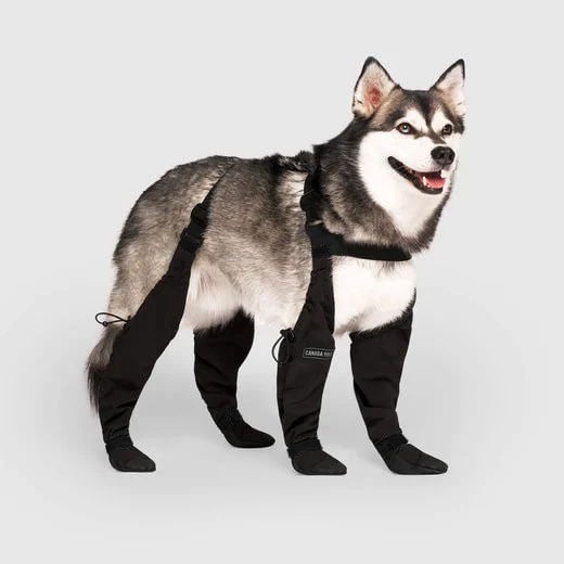 Hondenlaarzen - PawGuard - Bescherming voor alle weersomstandigheden - Duurzaam ontwerp