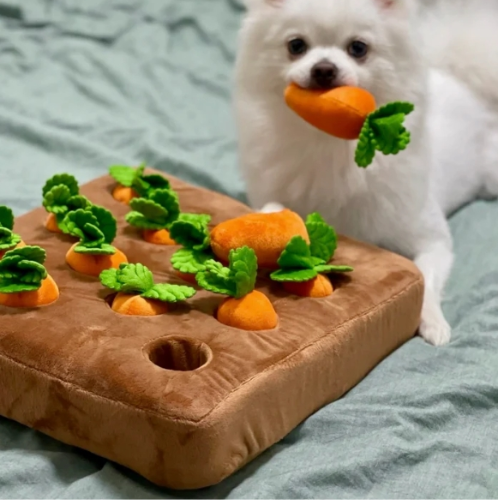Kauwspeelgoed - PlayPet - Pluche Wortel - Snuffel Plezier