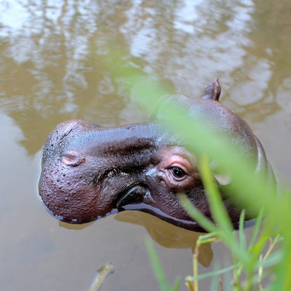 Drijvende Dier Ornament - AquaCraft - Nijlpaard Ontwerp - Waterdecoratie