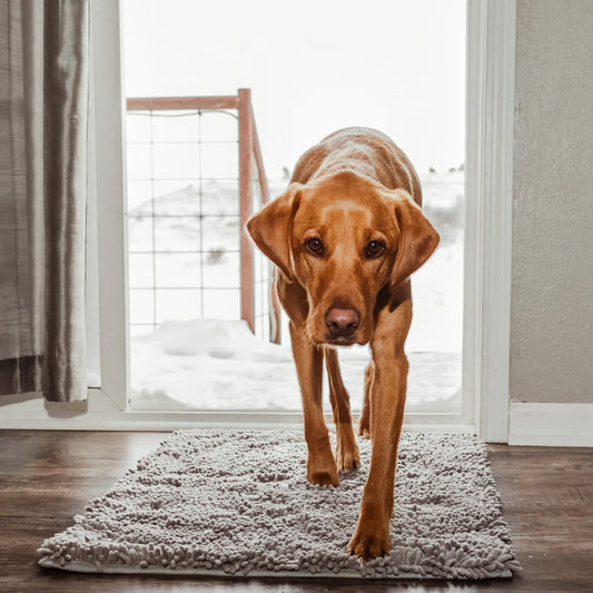 Honden Schoonloopmat - PawGuard - Super Absorberend - Vuilvangend