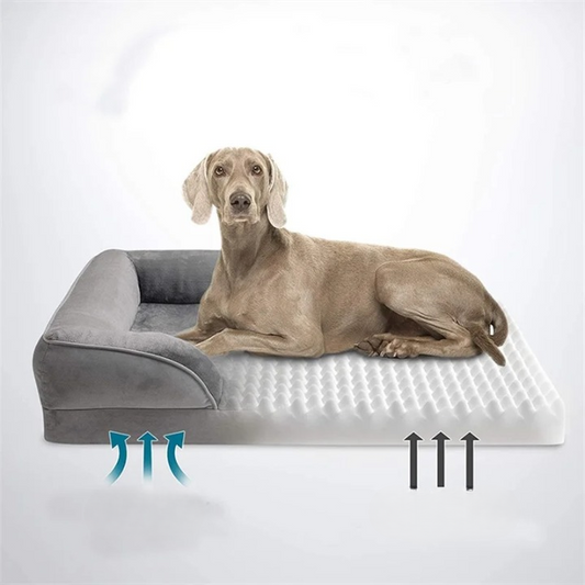 Hondenbed - ComfortRest - Orthopedische Ondersteuning - Geventileerd Design