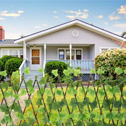 Tuinscherm - IvyPro - Uitbreidbaar Trellis - Privacyscherm voor Buiten
