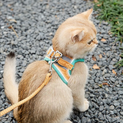 Ontsnappingsproof Kattenharnas met Lijn – Veilig & Comfortabel voor Buiten