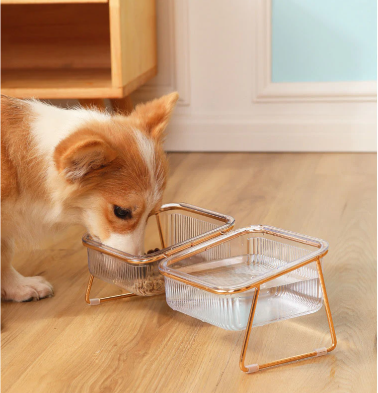Voederbak - PetEase - Verhoogd Design - Duurzaam voor Katten & Kleine Honden