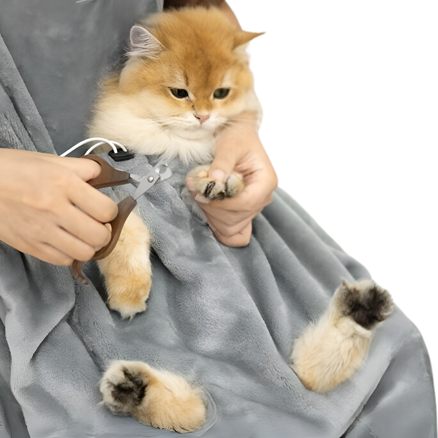Kangoeroe Buidel Kat Speelgoed - CuddlePaw - Zacht Pluche - Interactief Plezier