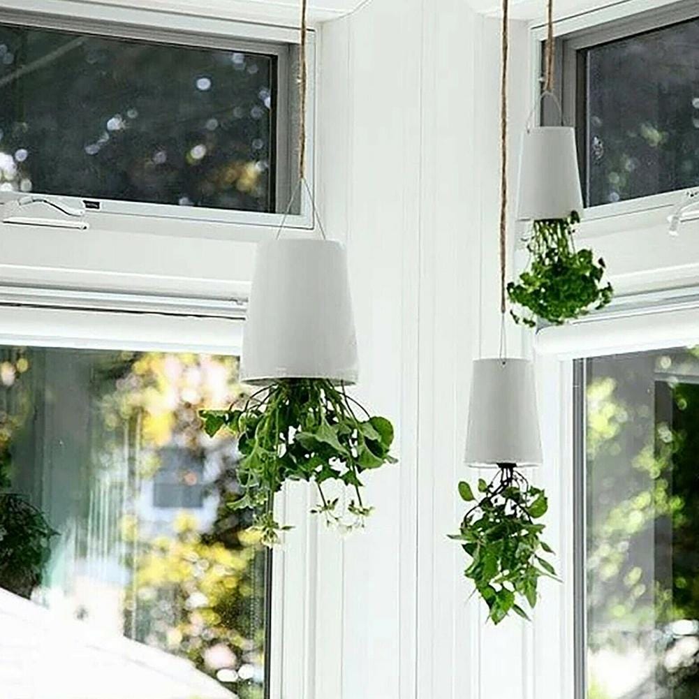 Bloempot - AeroPlant - Hangend Design - Moderne Plantenbak