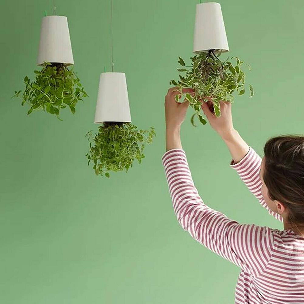 Bloempot - AeroPlant - Hangend Design - Moderne Plantenbak