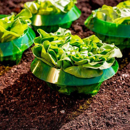 Tuinringen - EcoGuard - Ongedierte Bescherming - Slakken Barrière