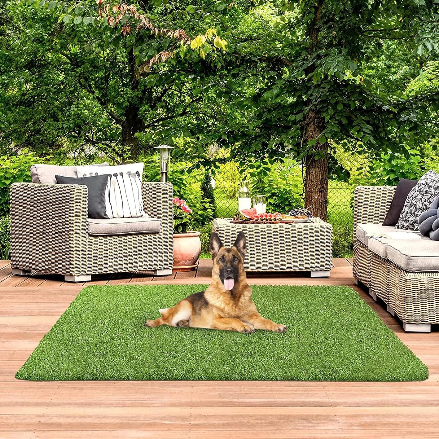 Honden Pootreiniger Beker - PawFresh - Zachte Reiniging - Draagbaar Ontwerp