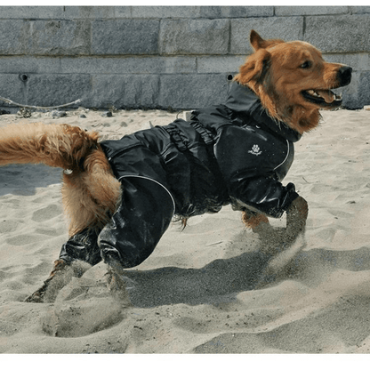 Hondenjas - AdventurePaws - Waterdichte Bescherming - Verstelbare Pasvorm
