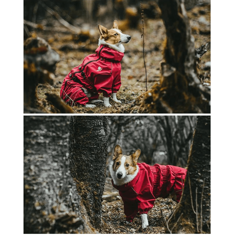 Hondenjas - AdventurePaws - Waterdichte Bescherming - Verstelbare Pasvorm