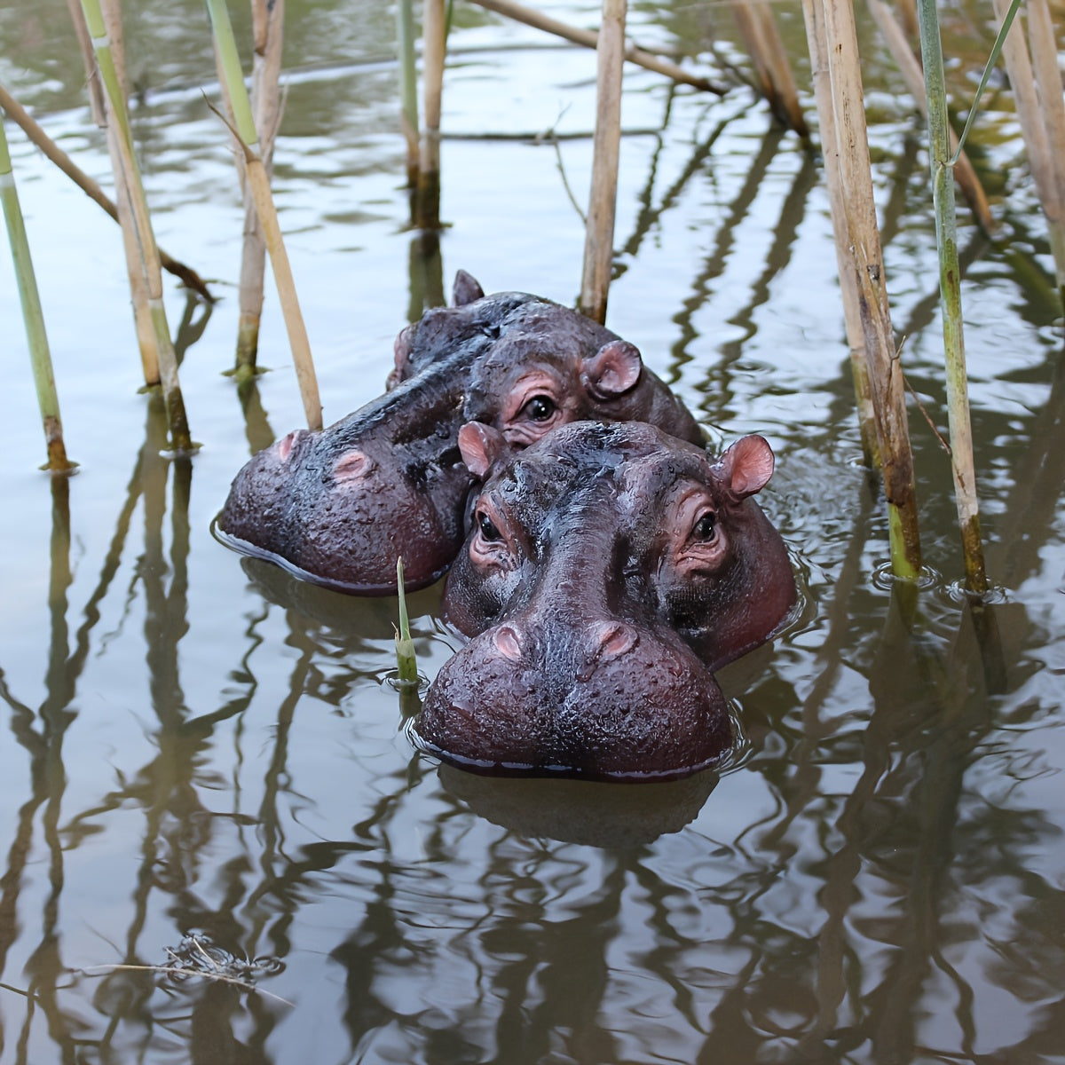 Drijvende Dier Ornament - AquaCraft - Nijlpaard Ontwerp - Waterdecoratie