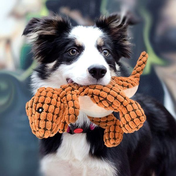 Honden Pluche Speelgoed - DinoTuff - Duurzaam Stof - Leuke Ontwerp