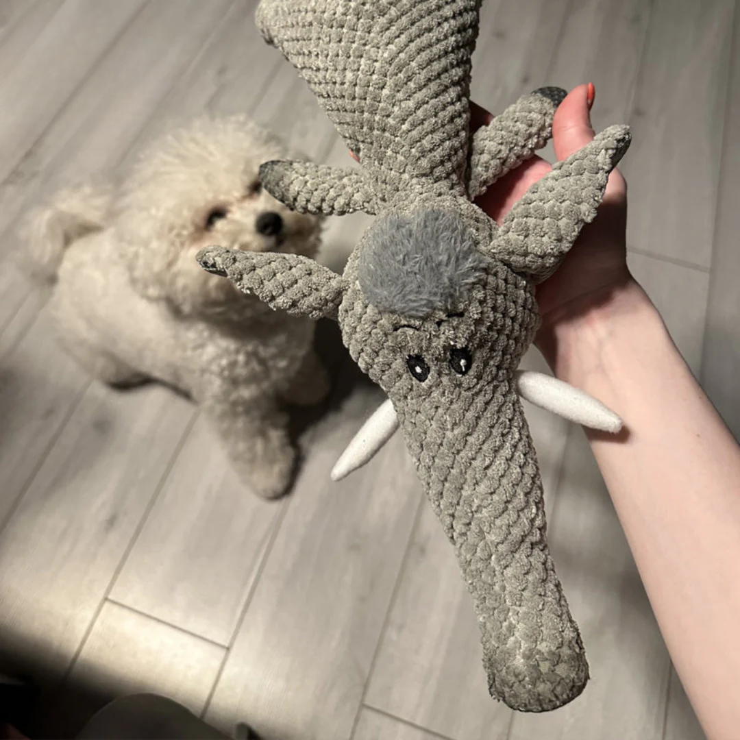 Honden Kauwspeelgoed - ChewZoo - Sterk Materiaal - Boeiend Ontwerp