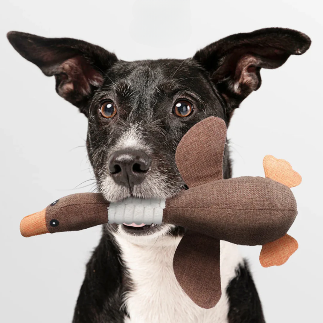 Honden Pluche Gans Speelgoed - GooseBuddy - Piepend Plezier - Zachte Textuur