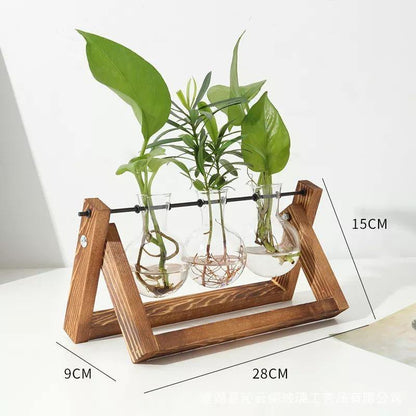 Propagatievaas - GlassNest - Houten Stand - Decoratieve Plantenhouder