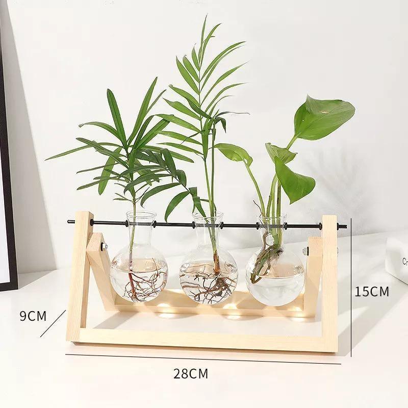 Propagatievaas - GlassNest - Houten Stand - Decoratieve Plantenhouder