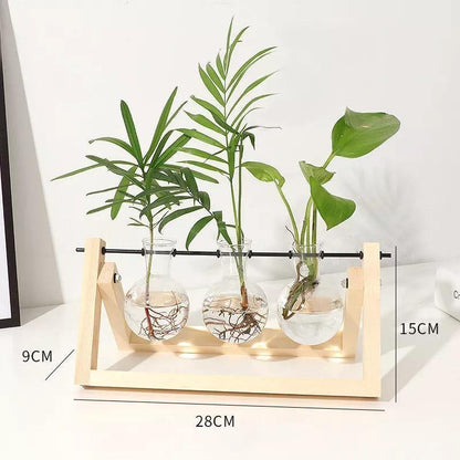 Propagatievaas - GlassNest - Houten Stand - Decoratieve Plantenhouder