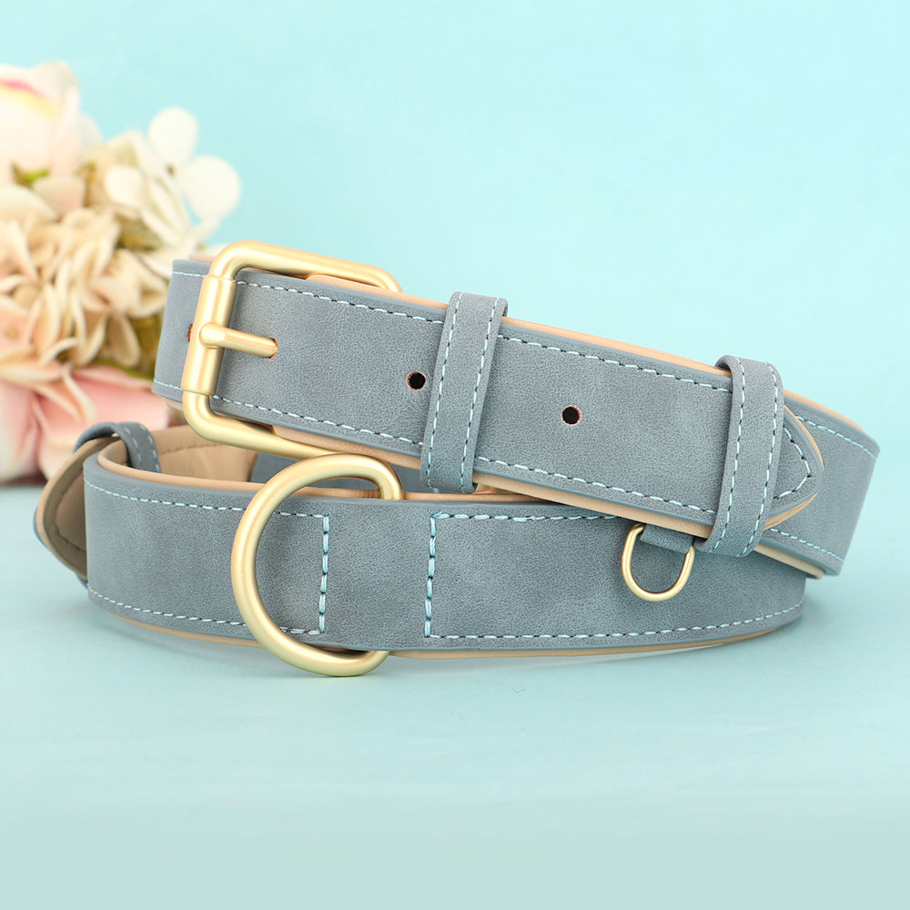 Duurzame Leren Hondenriem - LeashPro - Comfortabele Grip - Stijlvol Ontwerp
