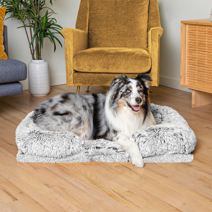 Orthopedisch Hondenbed - PawsNest - Kalmerende Ondersteuning - Ultiem Zacht Comfort