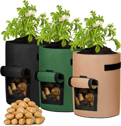 Aardappel Groeizaak - GrowMax - Makkelijk Planten - Duurzaam Ontwerp