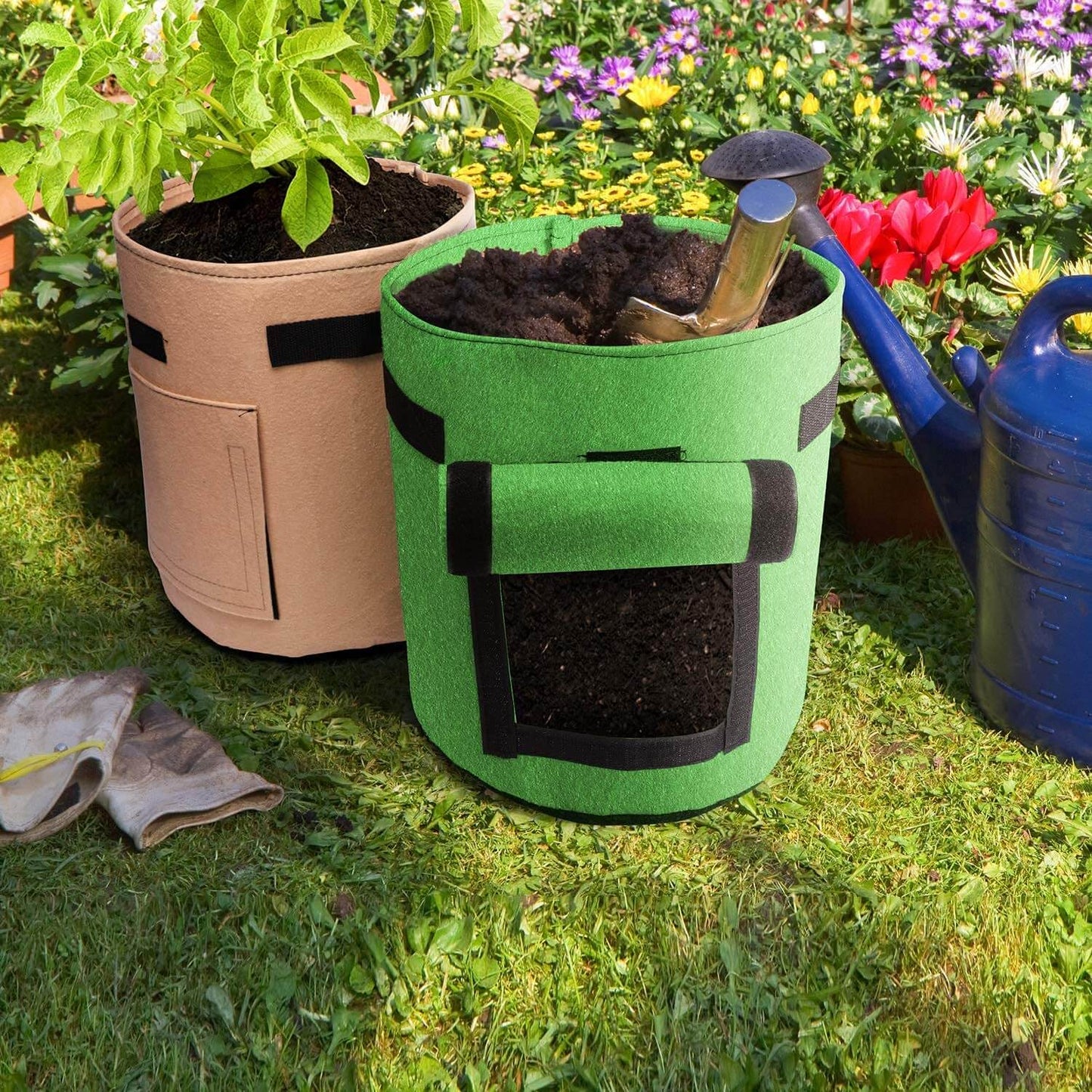 Aardappel Groeizaak - GrowMax - Makkelijk Planten - Duurzaam Ontwerp