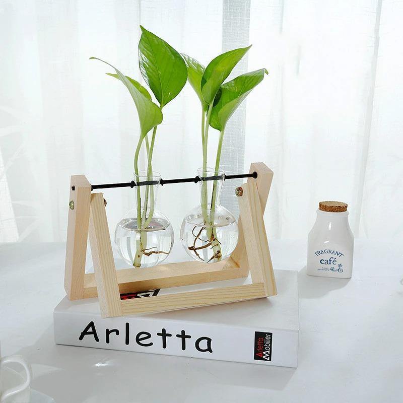 Propagatievaas - GlassNest - Houten Stand - Decoratieve Plantenhouder