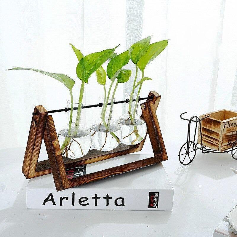 Propagatievaas - GlassNest - Houten Stand - Decoratieve Plantenhouder